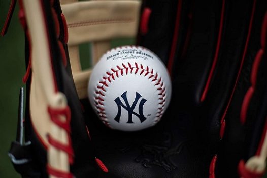 Bola de beisebal com o logotipo do time New York Yankees da MLB, oficial, branco