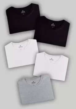 Kit Com 5 Camisetas Femininas Básicas – Hering
