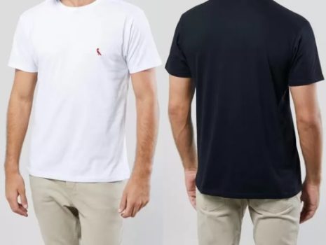 Kit 2 Camisetas Brasa Pica-pau Bordado Reserva