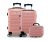 Kit Mala Bordo Viagem Frasqueira Bagagem de Mão ANAC Regulamentada ABS Rígido Roda 360º (Rose)