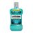 Listerine Cool Mint Enxaguante Bucal, 500ml