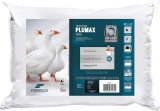 Travesseiro Toque de Pluma – Plumax Percal – Integralmente lavável em máquina – P/ fronhas 50×70 cm – Fibrasca, Branco