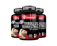 Suplemento em Capsula Combo 3x Trib Terrest Test. 80% saponinas 60 Caps 500 MG – Bionutri