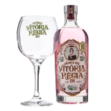 Sua seleção Favorita de Gin