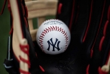 Bola de beisebal com o logotipo do time New York Yankees da MLB, oficial, branco