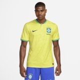 Camisa do Brasil Nike Torcedor Pro I 22/23 – Masculina