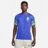 Camisa do Brasil Nike Torcedor Pro I 22/23 – Masculina