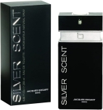 Silver Scent HME, Evau de Toilette, VAP 100 ml
