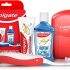 Jogo de Assadeiras Ovais 3 peças – Opaline Marinex